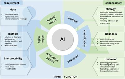 Artificial Intelligence Enhances Studies on Inflammatory Bowel Disease